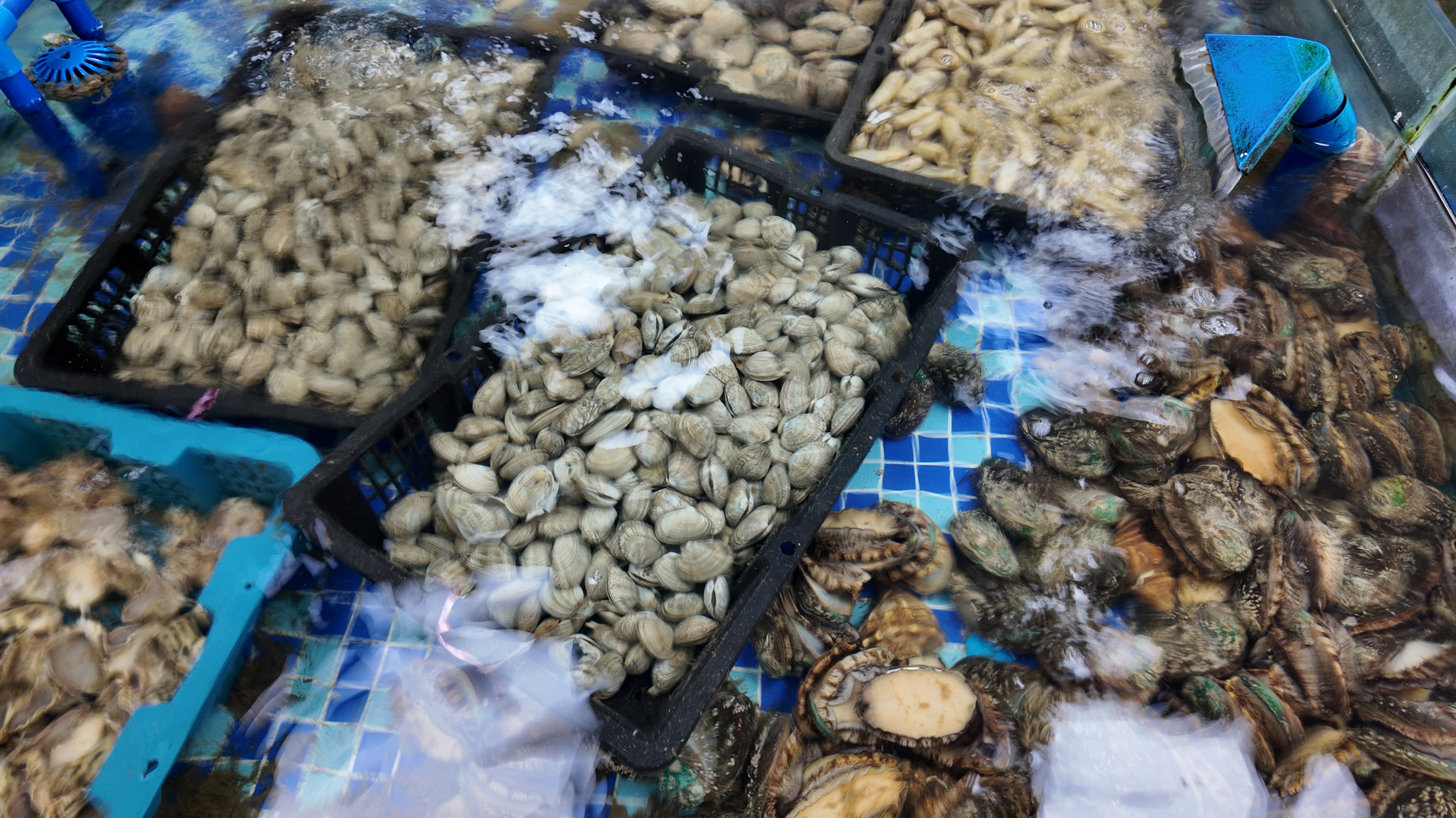 海鲜源头直供，新鲜度居然这么高？